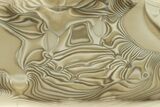 Polished Striped Flint Slab - Poland #299236-1